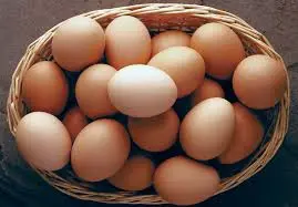 Egg Big