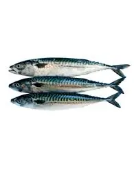 Local MK1 Fish (per half kg)